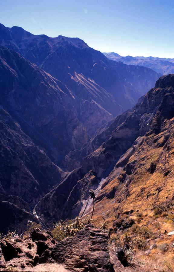 colca-apq-pec